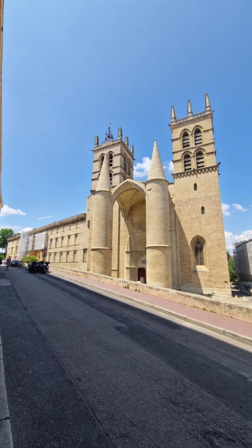 Le Petit Olivier En Coeur De Ville + Parking Incl. Montpellier Exterior foto